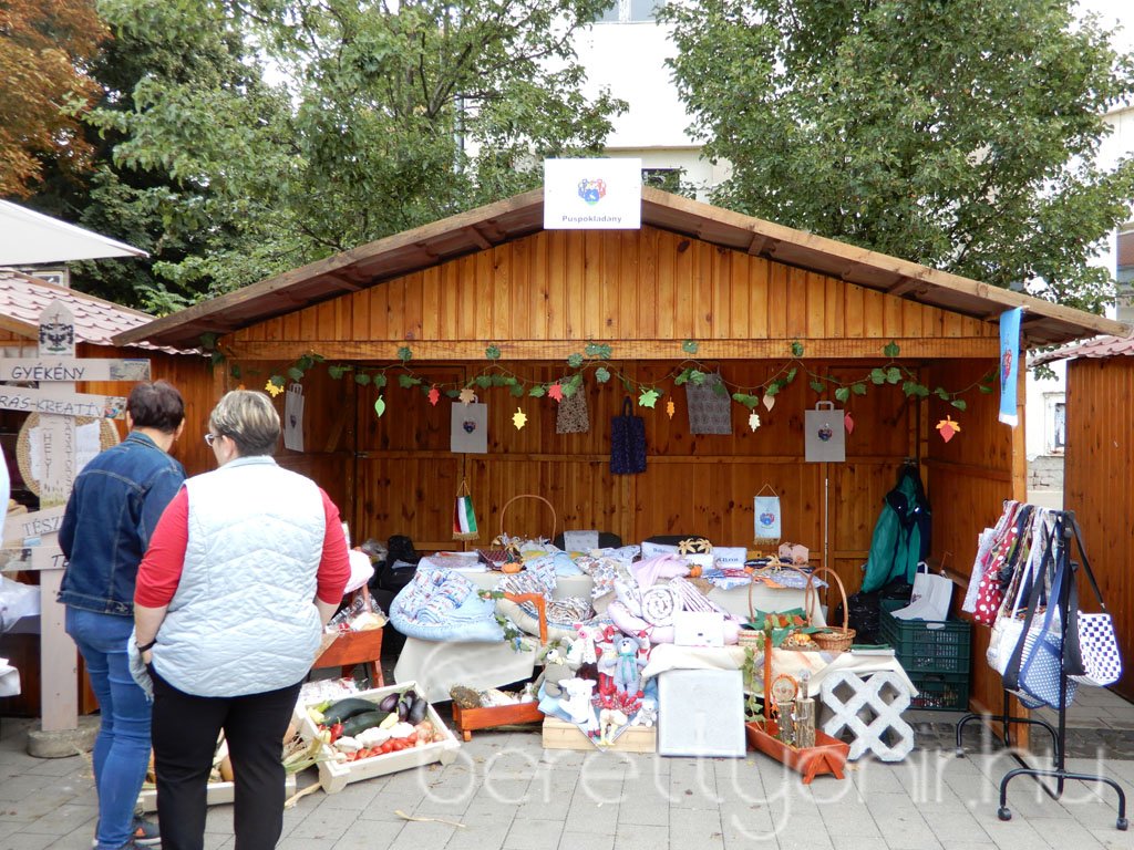 Helyi Értékek Startja 41